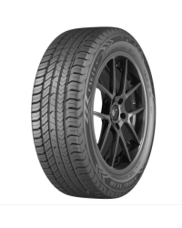 Pneu Goodyear Aro 16 Eagle Sport 2 205/55R16 91V
