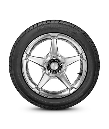 Pneu Aro 17 Goodyear 245/45R17 Efficientgrip 95W Pneu Aro 17 Goodyear 245/45R17 Efficientgrip 95W